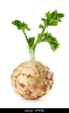 Fresh celery root with leaf isolated on white background, vertical photo. Celery isolated on white. Healthy food Stock Photo