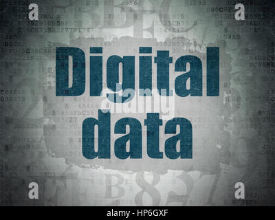 Data concept: Painted blue text Digital Data on Digital Data Paper background with   Hexadecimal Code Stock Photo