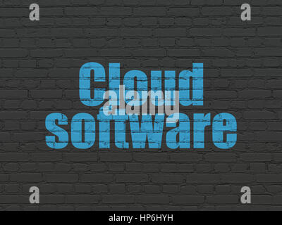 Cloud technology concept: Painted blue text Cloud Software on Black Brick wall background Stock Photo