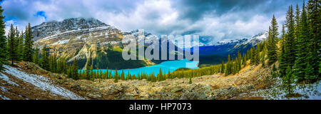 Peyto Lake Panorama Stock Photo