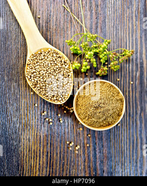 Coriander seeds in a spoon and ground in the bowl, umbrella green immature seeds on a background of wooden boards on top Stock Photo
