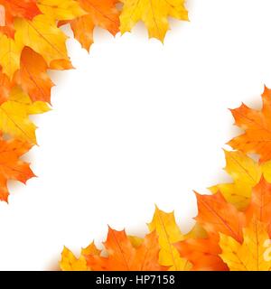 Autumn vector background with realistic maples leaves isolated on white background Stock Vector