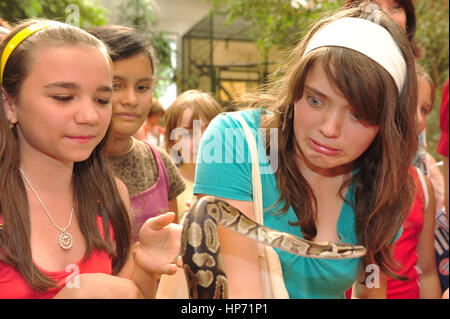 Worms, Germany - Jule 27, 2009 - Kids looking at a royal python in a animal park Stock Photo