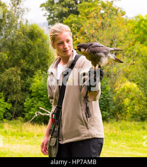 Muncaster Castle, Ravenglass, Cumbria, UK Stock Photo