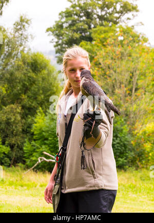 Muncaster Castle, Ravenglass, Cumbria, UK Stock Photo