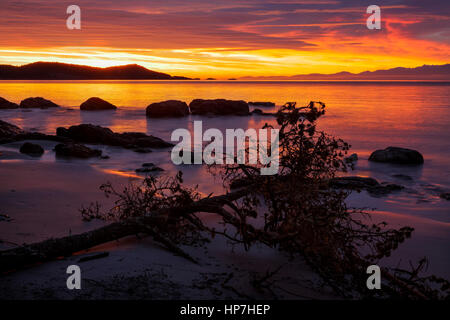 Sunrise at Aylard Farm beach-East Sooke Park, British Columbia, Canada. Stock Photo