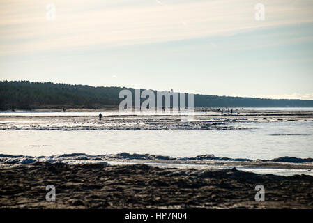 people enjoying frozen beach in winters cold. walking and relaxing Stock Photo