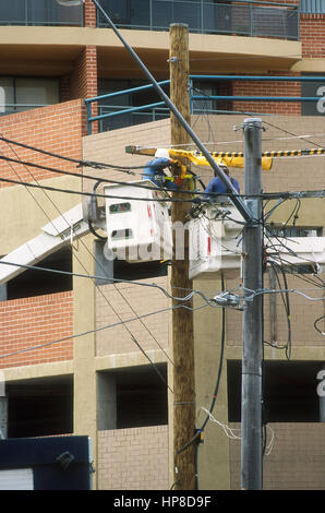 ELECTRICAL TECHNICIANS IN CHERRY PICKERS CARRY OUT MAINTENANCE ON HIGH VOLTAGE POWER LINES IN THE SYDNEY CBD. AUSTRALIA. Stock Photo