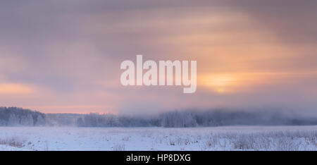 Yellow sun rising over mist in winter. Gorgeous winter sky in warm tones. Frosty winter dawn. Misty panoramic background. Stock Photo