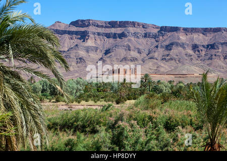 Draa River Valley Scene, Morocco.  Ksar (Kasbah) Tamnougalt, near Agdz. Stock Photo