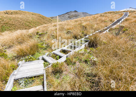 Stairs on the way to Mount Taranaki, Egmont National Park, Taranaki, New Zealand Stock Photo