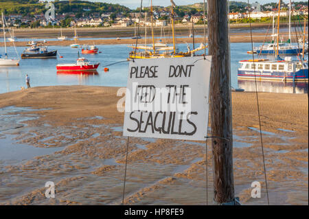 please don't feed the seagulls Sign on the promenade at Conwy north Wales. Stock Photo