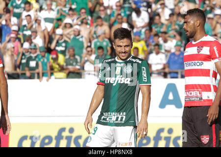 Araraquara, Brazil. 19th Feb, 2017. Willian during match between Linense and Palmeiras, valid for the 4th round of the Paulista championship 2017, held at the Arena Fonte Luminosa in Araraquara/SP. Credit: João Moura/FotoArena/Alamy Live News Stock Photo