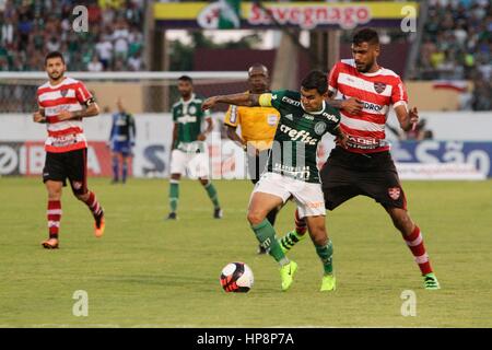 Araraquara, Brazil. 19th Feb, 2017. Dudú during match between Linense and Palmeiras, valid for the 4th round of the Paulista championship 2017, held at the Arena Fonte Luminosa in Araraquara/SP. Credit: João Moura/FotoArena/Alamy Live News Stock Photo