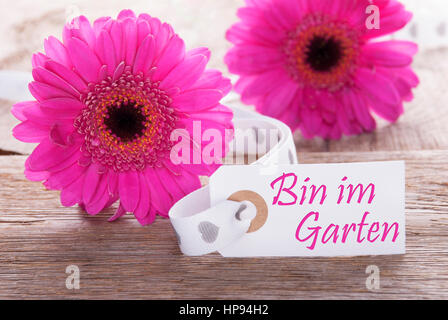 Label With German Text Bin Im Garten Means I Am In The Garden. Pink Spring Gerbera Blossom. Vintage, Rutic Or Aged Wooden Background. Card For Spring  Stock Photo