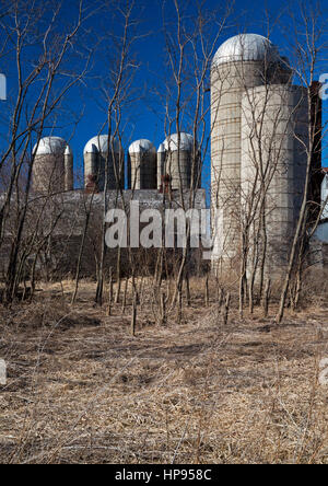 Armada Michigan Old silos on a Michigan farm Stock Photo Alamy