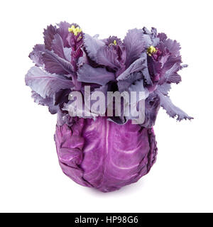cabbage-head isolated on white background Stock Photo