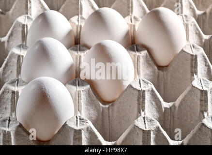 Chicken white egg in a cassette, tray or carton box. Package of raw chicken eggs for meal or other health food. Closeup of eggs in cardboard container Stock Photo