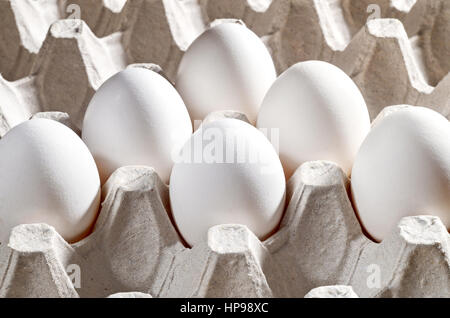 Chicken white egg in a cassette, tray or carton box. Package of raw chicken eggs for meal or other health food. Closeup of eggs in cardboard container Stock Photo