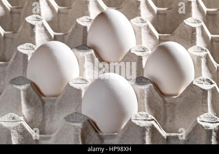 Chicken white egg in a cassette, tray or carton box. Package of raw chicken eggs for meal or other health food. Closeup of eggs in cardboard container Stock Photo