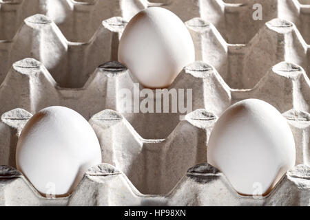 Chicken white egg in a cassette, tray or carton box. Package of raw chicken eggs for meal or other health food. Closeup of eggs in cardboard container Stock Photo