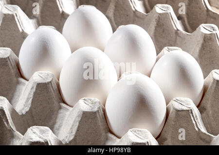 Chicken white egg in a cassette, tray or carton box. Package of raw chicken eggs for meal or other health food. Closeup of eggs in cardboard container Stock Photo