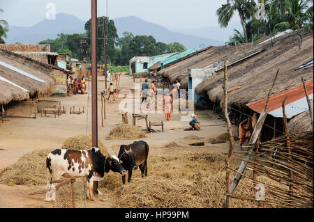 INDIA Odisha Orissa, Raygada, tribal village Kodesu, Dongria Kondh tribe, the Dongria Kondh have resisted against a ore mining project of company Vedanta resources in their mountains Stock Photo