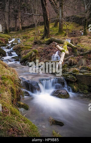 Small Stream Feeding Crummock Water Stock Photo