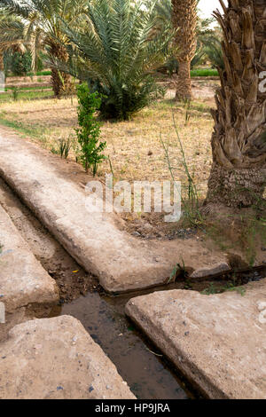 Merzouga, Morocco.  Irrigation Canal Diversion Point to Send Water to a Farmer's Plot in the Merzouga Oasis. Stock Photo