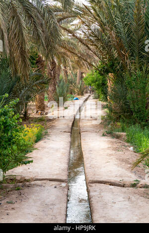 Merzouga, Morocco.  Irrigation Canal Carries Water to Farmers' Plots in the Merzouga Oasis. Stock Photo