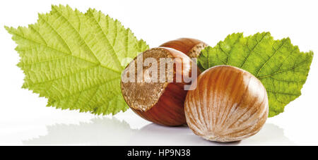 Haselnuesse Stock Photo