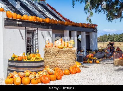 Roadside farm stall building with pumpkins and vegetables on display Stock Photo