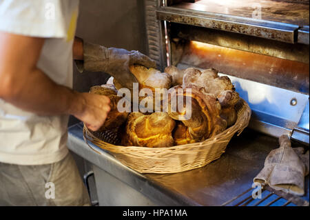 Close-up male baker hands in gloves taking fresh baked bread out of oven ant putting it in wicker basket Stock Photo