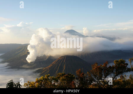 Mount Bromo, an active volcano and part of the Tengger Semeru National Park in East Java, Indonesia. Stock Photo