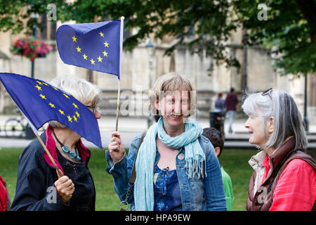 Pro EU Protesters wanting the UK to remain in the European Union are pictured holding EU European Union flag at a pro EU demonstration in Bristol Stock Photo