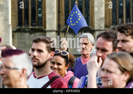 Pro EU Protesters wanting the UK to remain in Europe are pictured listening to speeches during a pro EU demonstration on college green Stock Photo