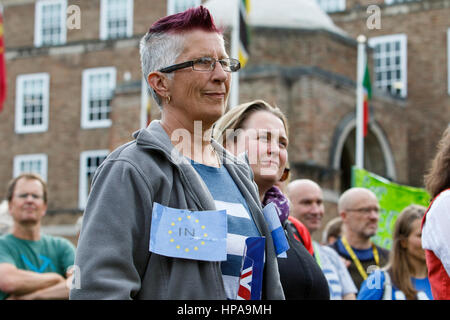 Pro EU Protesters wanting the UK to remain in Europe are pictured listening to speeches during a pro EU demonstration on college green Stock Photo