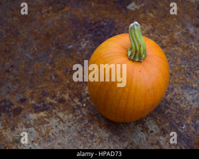 Autumn Pumpkin in Rusty Wheelbarrow