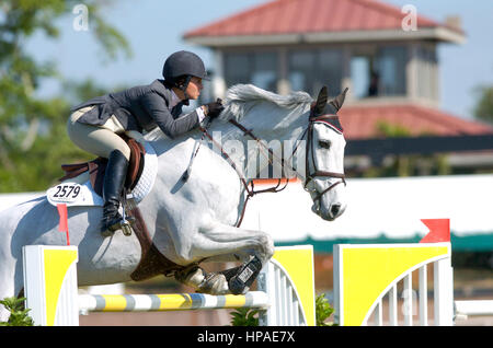 CSIO Wellington, daughter of ex New York Mayor Michael Bloomberg, Georgina Bloomberg (USA) riding Cim Christo Stock Photo