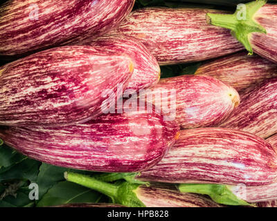 Eggplants aubergines with strieps on a farmers market in Rome Stock Photo