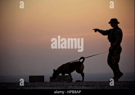 U.S. Marine Corps dog handlers drills his military working dog with a bomb detection training exercise during sunset at Al Dhafra Air Base February 9, 2017 in Abu Dhabi, United Arab Emirates. Stock Photo