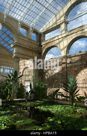 Syon Park Conservatory features a pool Stock Photo