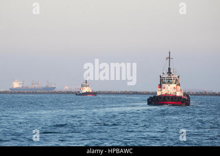 Tugboats return from escorting an msc container ship out of the harbor Stock Photo