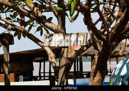 Temple tree at Tendaba Camp on the River Gambia Stock Photo