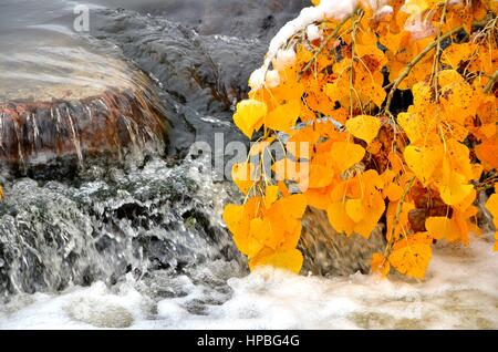 Waterfall with Fall Leaves Stock Photo