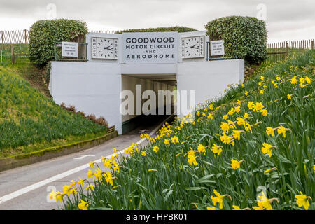 Goodwood motor racing circuit tunnel entrance to the circuit and airfield , West Sussex, England UK Stock Photo