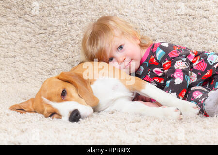 small cute girl laying on top of beagle dog Stock Photo