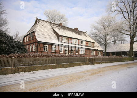 Niederhaverbeck, Lüneburger Heide im Winter, Niedersachsen, Deutschland Stock Photo