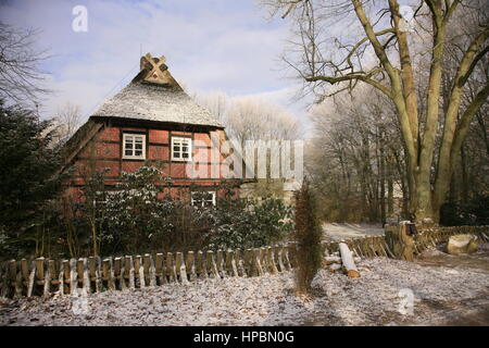 Wilsede, Lüneburger Heide im Winter, Niedersachsen, Deutschland Stock Photo