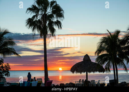 Florida Key Largo,Upper Florida Keys,Gilbert's Resort,Blackwater Sound,waterfront,sunset,palm tree,tiki umbrella,silhouette,Sabal palmetto,cabbage pal Stock Photo